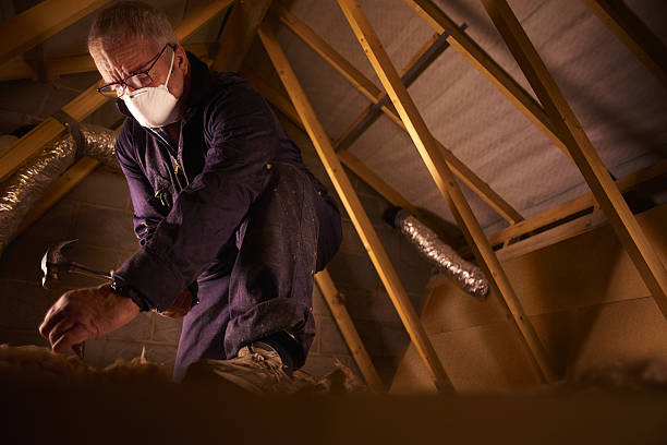 Best DIY Insulation Kits and Guidance in Jackson, CA