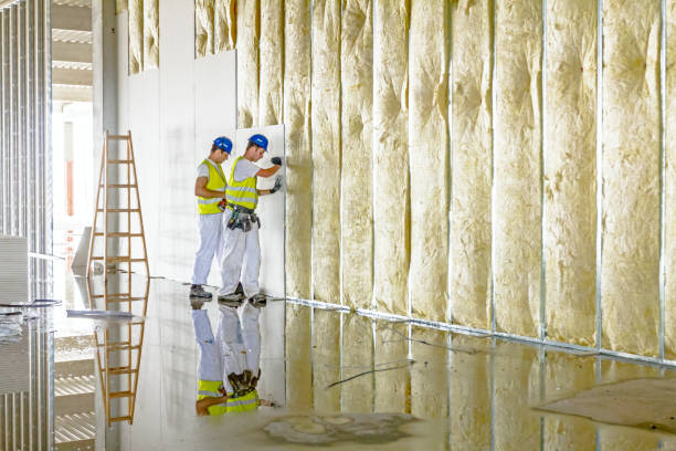 Best Blown-in Insulation in Jackson, CA